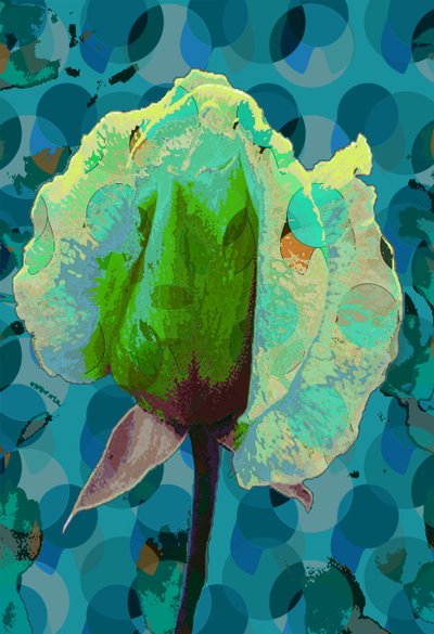 Tea Rose 2 by Scott J. Davis